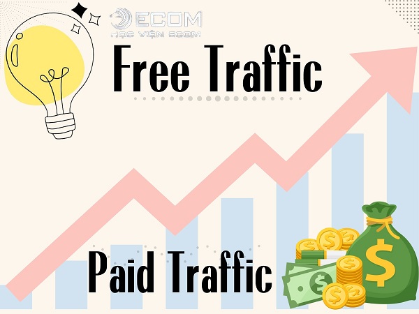 Free Traffic và Paid Traffic